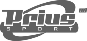 logo_szurkeP